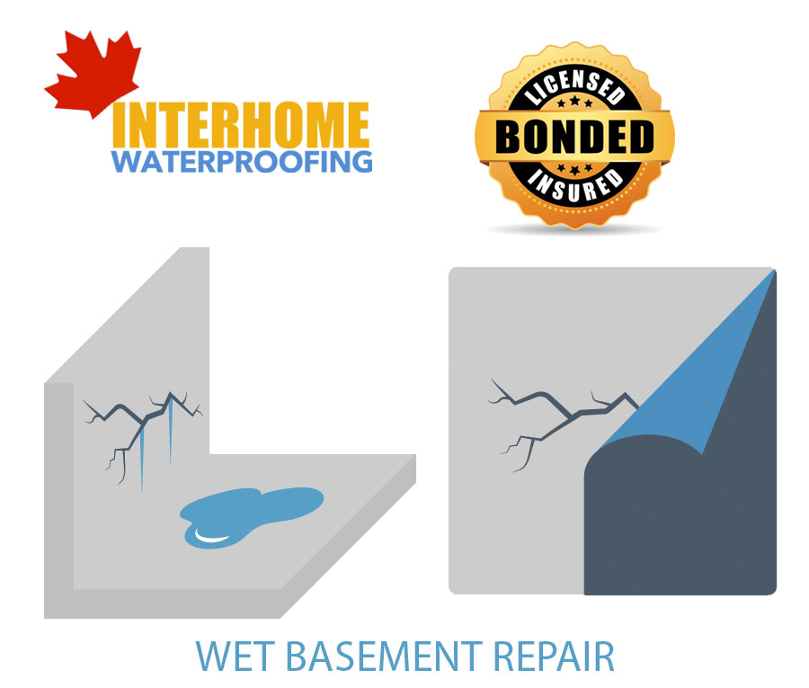 wet basement toronto